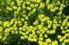 PICT0547.JPG