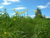DSCN3237.JPG