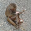 Zoo1.jpg