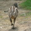 Zoo2.jpg