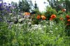 Resize of PICT0778.JPG