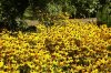 Botanischer Garten 032 400X266.jpg