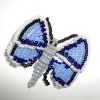 blauer Perlenschmetterling.JPG