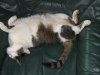 IMG_0228 Kopie.JPG