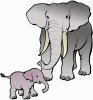 elefant.jpg