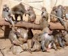 Treffen KÃ¶lner Zoo 034 600X502.jpg