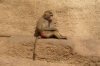 Treffen KÃ¶lner Zoo 040 600X400.jpg