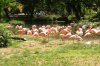 Treffen KÃ¶lner Zoo 110.JPG