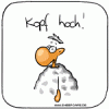 kopfhoch1.gif