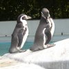 Treffen KÃ¶lner Zoo 080.JPG