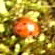 April 9d 001.JPG