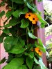 DSCN9584. ganz klein jpg.jpg