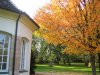 herbst10.jpg