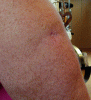 PIC00699.GIF