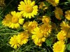 DSCN3415.JPG
