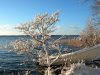 mÃ¤larenDSCN5489.JPG