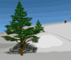 schnee2.gif