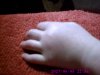 hand k 003.jpg