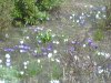 DSC02577.JPG