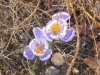 DSC02586.JPG