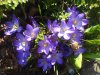 DSC02588.JPG