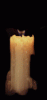1300726.gif