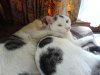 DSC00906.JPG