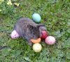 22.04.2000 Ostern (6).jpg