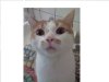 schÃ¶dinger0407.JPG