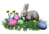 o33510769.gif o33510769.gif