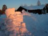morgensDSCN5931.jpg