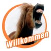 willkommen.jpg