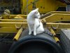 DSC03475.JPG