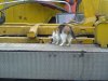 DSC03472.JPG