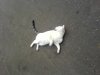 DSC03465.JPG
