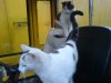 DSC02970.JPG