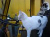 DSC02971.JPG