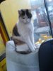 DSC02969.JPG