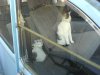 DSC02786.JPG