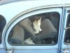 DSC02789.JPG