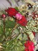 Mai 2007 063.jpg