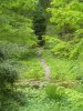 DSC03946.JPG