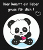lgpanda295ht5.gif