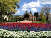 blumen+kirche.JPG