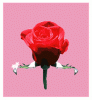 35212508.gif 35212508.gif