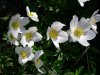 Resize of DSCN6750.JPG