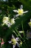Rotation of Resize of PICT2099.JPG