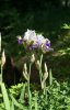 Rotation of Resize of PICT2104.JPG