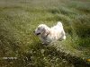 Nordsee 2007 052.jpg