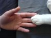 DSC03550.JPG